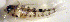  ( - c14me185)  @12 [ ] CreativeCommons - Attribution Non-Commercial Share-Alike (2014) Benjamin Victor Benjamin Victor
