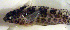  ( - c14mg250)  @12 [ ] CreativeCommons - Attribution Non-Commercial Share-Alike (2014) Benjamin Victor Benjamin Victor