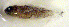  ( - c14ph114)  @12 [ ] CreativeCommons - Attribution Non-Commercial Share-Alike (2014) Benjamin Victor Benjamin Victor