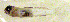 ( - c14td106)  @12 [ ] CreativeCommons - Attribution Non-Commercial Share-Alike (2014) Benjamin Victor Benjamin Victor