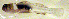  ( - c14td150)  @12 [ ] CreativeCommons - Attribution Non-Commercial Share-Alike (2014) Benjamin Victor Benjamin Victor