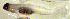  ( - c14td151)  @12 [ ] CreativeCommons - Attribution Non-Commercial Share-Alike (2014) Benjamin Victor Benjamin Victor