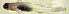  ( - c14td173)  @12 [ ] CreativeCommons - Attribution Non-Commercial Share-Alike (2014) Benjamin Victor Benjamin Victor