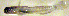  ( - c14td180)  @13 [ ] CreativeCommons - Attribution Non-Commercial Share-Alike (2014) Benjamin Victor Benjamin Victor