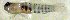  ( - c14tp115)  @12 [ ] CreativeCommons - Attribution Non-Commercial Share-Alike (2014) Benjamin Victor Benjamin Victor