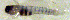  ( - c14tp117)  @12 [ ] CreativeCommons - Attribution Non-Commercial Share-Alike (2014) Benjamin Victor Benjamin Victor