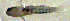 ( - c14tp98)  @12 [ ] CreativeCommons - Attribution Non-Commercial Share-Alike (2014) Benjamin Victor Benjamin Victor