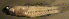  ( - cc13g210)  @13 [ ] CreativeCommons - Attribution Non-Commercial Share-Alike (2013) Benjamin Victor Benjamin Victor