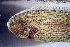  ( - ch16sy430)  @11 [ ] CreativeCommons - Attribution Non-Commercial Share-Alike (2016) Benjamin Victor Benjamin Victor