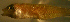  ( - ck98425lx253)  @12 [ ] CreativeCommons - Attribution Non-Commercial Share-Alike (2012) Benjamin Victor Benjamin Victor
