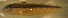  ( - ck98425pa210)  @12 [ ] CreativeCommons - Attribution Non-Commercial Share-Alike (2012) Benjamin Victor Benjamin Victor