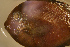  ( - clip98cm300)  @12 [ ] CreativeCommons - Attribution Non-Commercial Share-Alike (2012) Benjamin Victor Benjamin Victor