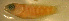  ( - clip98t138)  @12 [ ] CreativeCommons - Attribution Non-Commercial Share-Alike (2012) Benjamin Victor Benjamin Victor
