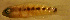  ( - clip98tr138)  @12 [ ] CreativeCommons - Attribution Non-Commercial Share-Alike (2012) Benjamin Victor Benjamin Victor
