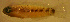  ( - clip98tr146)  @12 [ ] CreativeCommons - Attribution Non-Commercial Share-Alike (2012) Benjamin Victor Benjamin Victor