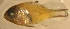  ( - cn11cc128)  @12 [ ] CreativeCommons - Attribution Non-Commercial Share-Alike (2011) Benjamin Victor Research Collection of Benjamin Victor