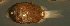  ( - cn12as93)  @12 [ ] CreativeCommons - Attribution Non-Commercial Share-Alike (2012) Benjamin Victor Benjamin Victor
