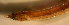  ( - cn12cb560)  @12 [ ] CreativeCommons - Attribution Non-Commercial Share-Alike (2012) Benjamin Victor Benjamin Victor