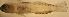  ( - d11711ed174)  @12 [ ] CreativeCommons - Attribution Non-Commercial Share-Alike (2011) Benjamin Victor Benjamin Victor