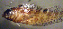  ( - d11712amg290)  @12 [ ] CreativeCommons - Attribution Non-Commercial Share-Alike (2013) Benjamin Victor Benjamin Victor