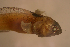  ( - d11712el234)  @11 [ ] CreativeCommons - Attribution Non-Commercial Share-Alike (2019) Benjamin Victor Benjamin Victor