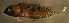  ( - d11714mg137)  @12 [ ] CreativeCommons - Attribution Non-Commercial Share-Alike (2013) Benjamin Victor Benjamin Victor