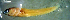  ( - d11715eb162)  @11 [ ] CreativeCommons - Attribution Non-Commercial Share-Alike (2019) Benjamin Victor Benjamin Victor