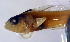  ( - d11715el153)  @11 [ ] CreativeCommons - Attribution Non-Commercial Share-Alike (2019) Benjamin Victor Benjamin Victor