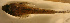  ( - d11715pb155)  @12 [ ] CreativeCommons - Attribution Non-Commercial Share-Alike (2011) Benjamin Victor Research Collection of Benjamin Victor
