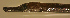  ( - d11718ce380)  @13 [ ] CreativeCommons - Attribution Non-Commercial Share-Alike (2012) Benjamin Victor Benjamin Victor