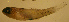  ( - d11718ch122)  @12 [ ] CreativeCommons - Attribution Non-Commercial Share-Alike (2012) Benjamin Victor Benjamin Victor