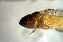  ( - d11720el243)  @11 [ ] CreativeCommons - Attribution Non-Commercial Share-Alike (2019) Benjamin Victor Benjamin Victor