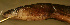  ( - el11cs745)  @12 [ ] CreativeCommons - Attribution Non-Commercial Share-Alike (2012) Benjamin Victor Benjamin Victor