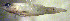  ( - f14cg170)  @14 [ ] CreativeCommons - Attribution Non-Commercial Share-Alike (2014) Benjamin Victor Benjamin Victor