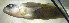  ( - f14cg270)  @11 [ ] CreativeCommons - Attribution Non-Commercial Share-Alike (2014) Benjamin Victor Benjamin Victor