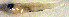  ( - f14cp78)  @12 [ ] CreativeCommons - Attribution Non-Commercial Share-Alike (2014) Benjamin Victor Benjamin Victor