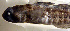  ( - f14gr320)  @12 [ ] CreativeCommons - Attribution Non-Commercial Share-Alike (2014) Benjamin Victor Benjamin Victor