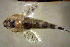  ( - fl813eb210)  @12 [ ] CreativeCommons - Attribution Non-Commercial Share-Alike (2013) Benjamin Victor Benjamin Victor