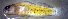  ( - fl813gr204)  @12 [ ] CreativeCommons - Attribution Non-Commercial Share-Alike (2013) Benjamin Victor Benjamin Victor