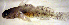  ( - fl813gr210)  @12 [ ] CreativeCommons - Attribution Non-Commercial Share-Alike (2013) Benjamin Victor Benjamin Victor