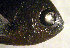  ( - ga16nt370)  @11 [ ] CreativeCommons - Attribution Non-Commercial Share-Alike (2016) Benjamin Victor Benjamin Victor