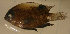  ( - gal02114sb132)  @12 [ ] CreativeCommons - Attribution Non-Commercial Share-Alike (2012) Benjamin Victor Benjamin Victor