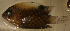  ( - gal02117sb182)  @12 [ ] CreativeCommons - Attribution Non-Commercial Share-Alike (2012) Benjamin Victor Benjamin Victor