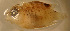  ( - gal490vsf141)  @13 [ ] CreativeCommons - Attribution Non-Commercial Share-Alike (2011) Benjamin Victor Research Collection of Benjamin Victor