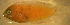  ( - gal98609nt170)  @12 [ ] CreativeCommons - Attribution Non-Commercial Share-Alike (2012) Benjamin Victor Benjamin Victor