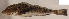  ( - gom13ps2)  @13 [ ] CreativeCommons - Attribution Non-Commercial Share-Alike (2014) Benjamin Victor Benjamin Victor