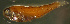  ( - gv12dl190)  @11 [ ] CreativeCommons - Attribution Non-Commercial Share-Alike (2012) Benjamin Victor Benjamin Victor