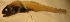  ( - gv12nv190)  @12 [ ] CreativeCommons - Attribution Non-Commercial Share-Alike (2012) Benjamin Victor Benjamin Victor