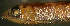 ( - gv12vl470)  @11 [ ] CreativeCommons - Attribution Non-Commercial Share-Alike (2012) Benjamin Victor Benjamin Victor
