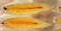  ( - gv22sp219)  @11 [ ] by-nc-sa (2022) Benjamin Victor Benjamin Victor